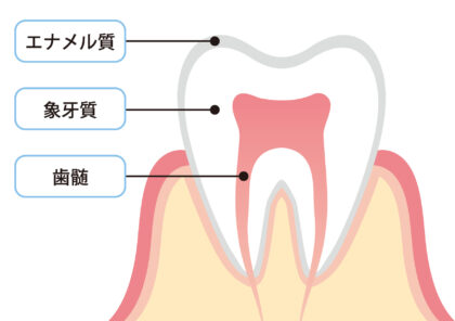 「歯髄温存」とは